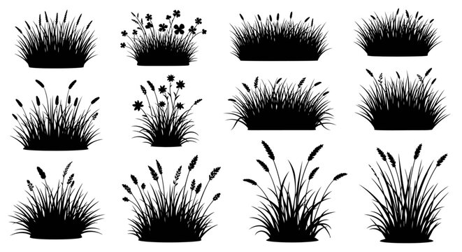 A collection of twelve black and white silhouette illustrations of various types of ornamental grasses and reeds, presented against a white background.