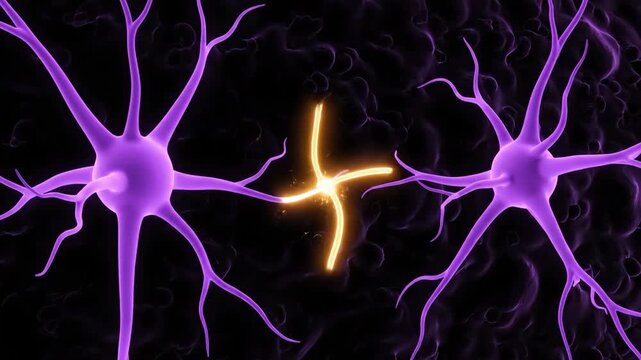 3D Visualization of Neuroplasticity and Synapse Formation