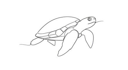 Obraz premium Simple line art drawing of a sea turtle swimming gracefully underwater, black and white outline