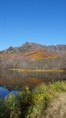 Naklejka premium Myoko-Togakushi National Park: A Japanese Autumn Wonderland, Nagano, Japan