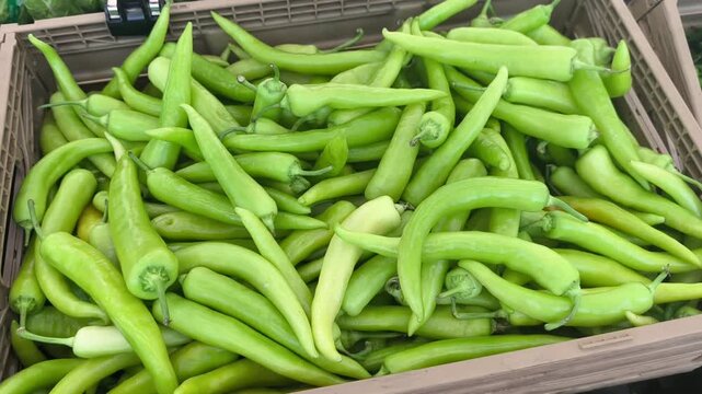 A large pile of fresh green lada solok chilies is displayed in a supermarket. These peppers are a staple in Malaysian cooking. Customers can choose from the vibrant, high-quality produce.