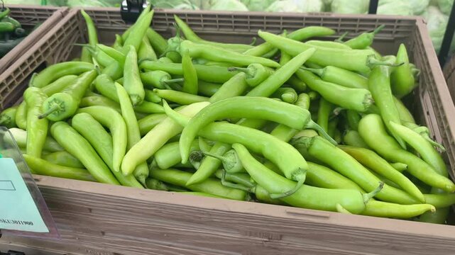 A large pile of fresh green lada solok chilies is displayed in a supermarket. These peppers are a staple in Malaysian cooking. Customers can choose from the vibrant, high-quality produce.
