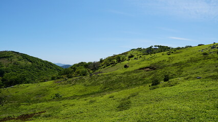 Obraz premium Lush Green Summits of the Suzuka Mountain Range in Summer, Mie, Japan