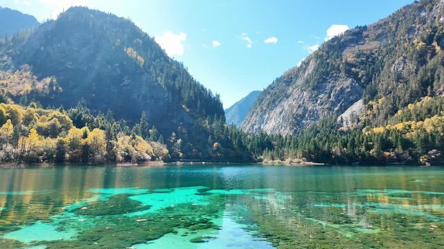 Scenery Jiuzhaigou national park in Sichuan, China. Beautiful Five Flower Lake in Autumn season. Famous Landmark and Vacation near Chengdu, China. Asia travel concept