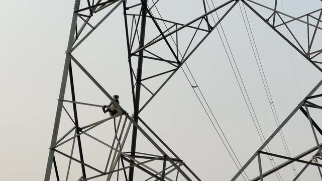 A monkey sits safely on a high voltage transmission tower, illustrating how birds and animals avoid electrocution when not grounding electricity in power lines.