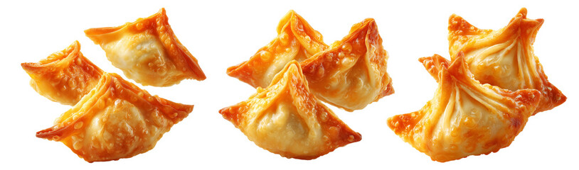 Set of Australia dim sum deep fried dumpling topped with sesame, isolated isolated on white transparent background