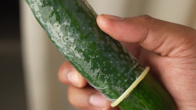 Dotted condom applied on a cucumber.