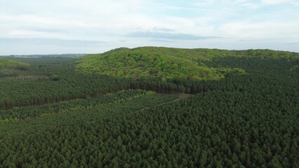 Fototapeta premium Natural forest texture from aerial top view
