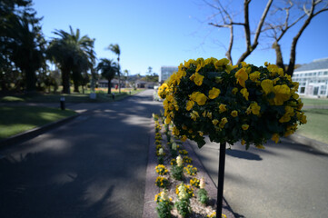 青島の海岸通り