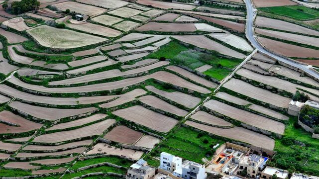 High altitude aerial drone shot of traditional terraced limestone farming fields in rural Gozo during a bright spring afternoon with golden sunlight illuminating the green grass and red soil