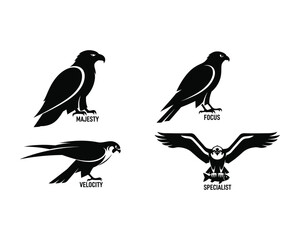 Obraz premium Eagle, Hawk, Falcon, Osprey vector silhouette illustration design set collection