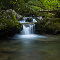 Obraz premium waterfall in the forest