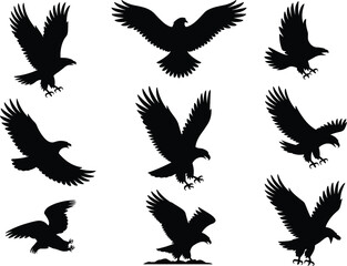 Obraz premium Eagle silhouette collection, flying landing attacking poses, majestic bird of prey vector set isolated on white background, wildlife illustration