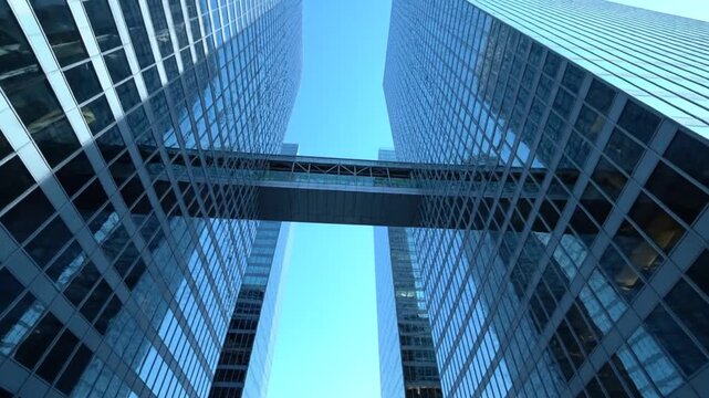 Twin Towers Skybridge View.