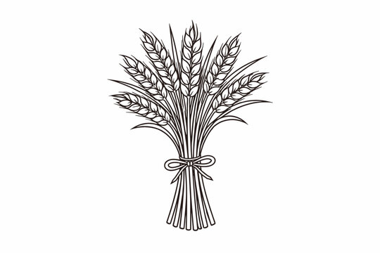 Simple wheat bundle with bow line drawing in black on white background