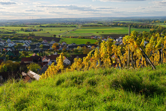 Blick von den Weinbergen am Eulenberg auf Michelau im Steigerwald, Naturpark Steigerwald, Gemeinde Michelau, Landkreis Schweinfurt, Unterfranken, Franken, Bayern, Deutschland