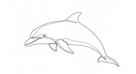 Obraz premium Dolphin line art illustration, simple monochrome marine animal drawing