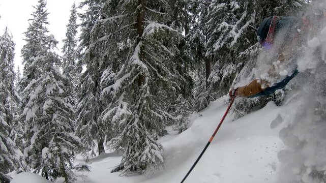 Close follow-cam faceshot footage of a freeride skier riding fast through deep powder during a snowstorm with heavy snow spray and whiteout conditions in a forest in the Swiss Alps near Verbier Valais