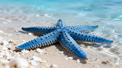 BlueStarfishOnSandyBeach