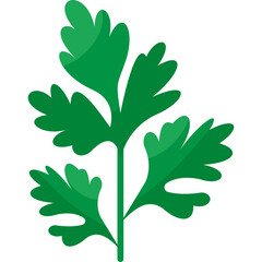 Parsley Flat Icon