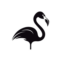 Cute cartoon Flamingo illustration