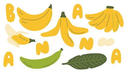 A colorful illustration of bananas in various stages of ripeness and a leaf