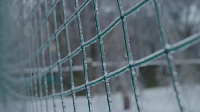 Green wire fence covered in winter ice