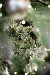 Fototapeta premium A close-up of a snow-dusted Christmas tree branch adorned with delicate string lights, captured in soft focus