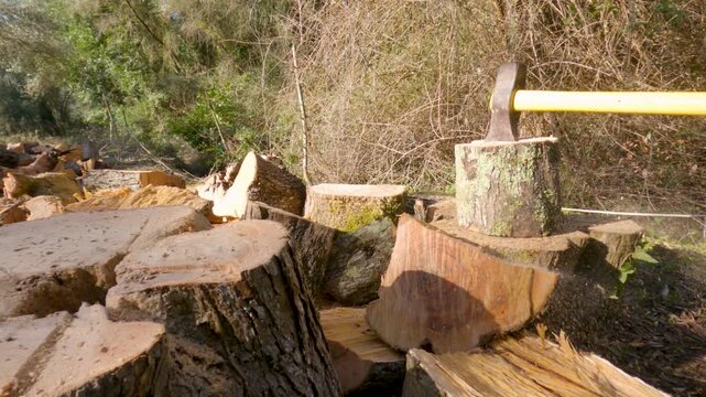 Heavy yellow splitting maul axe resting on pile of chopped firewood logs in sunny forest clearing with nature background in Corfu Greece