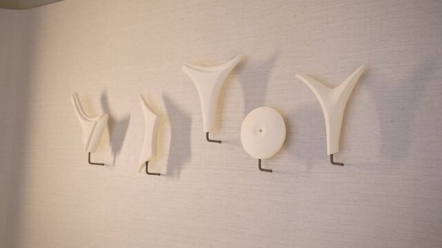 Various wall hooks are arranged on a light-colored wall. Each hook has a different shape and design. The display highlights how functional pieces can add style to a space.