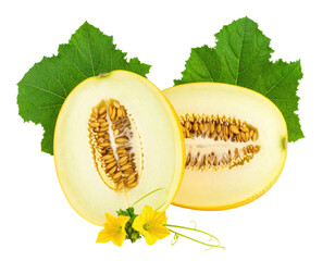 Sliced melon revealing seeds, with leaves, flower, and dark background