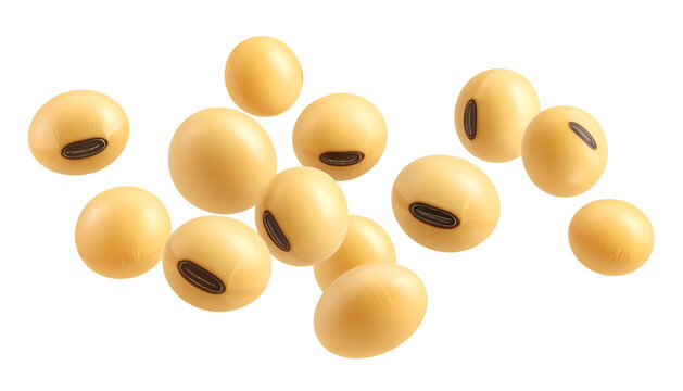 Several smooth, beige legumes with dark hilums are scattered against a black backdrop