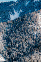 Jasn&aacute; ski resort in the Low Tatras Mountains, located in the Liptov region of Slovakia. Snow-covered peaks, alpine slopes, and winter landscape create a popular destination for skiing