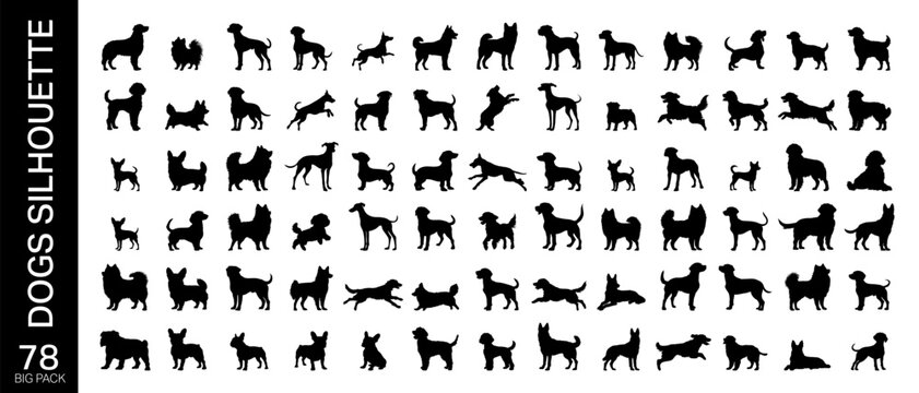 Dogs in various silhouette poses isolated on white background.