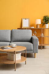 Cozy sofa, coffee table and houseplant in stylish living room