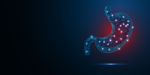 Abstract 3D gastric illustration human stomach organ geometric low poly wireframe style. Concept care, stomach pain, science, and technology. Vector illustration.