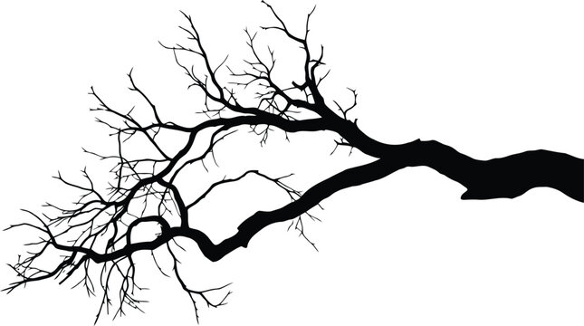 A long, bare tree branch silhouette with many small twigs extends across a stark white canvas