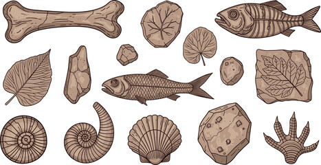 Prehistoric Fossil and Ancient Sea Life Vector Set with Fish, Bones, Shells and Leaf Imprints © Tofajjol