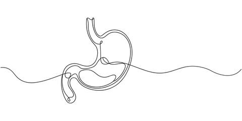 Fototapeta premium Continuous one line drawing of stomach organs. Single line art style of stomach drawing. Illustration of stomachache concept. Doodle vector illustration