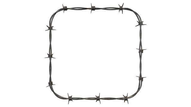 Square barbed wire frame on white background, metal border symbolizing restriction, prison cell, security fence, danger zone and closed boundaries

