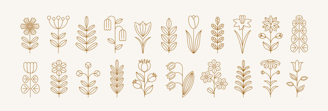 Set of geometric line flower icons in simple shapes. Abstract floral elements. Spring and summer blossoms, blooming plant branches, floral folk pattern. Vector flat illustration.