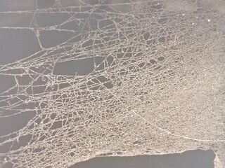 Intricate Macro Texture of a Dusty Spiderweb - Detailed View of Complex Cobweb Patterns and Tangled Silk Strands Against a Dark Background