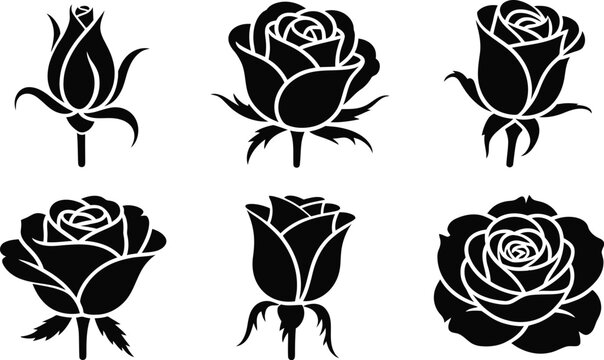 A collection of six black and white rose illustrations in various stages of bloom