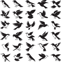 Obraz premium Collection of Black and White Bird Silhouettes in Various Poses