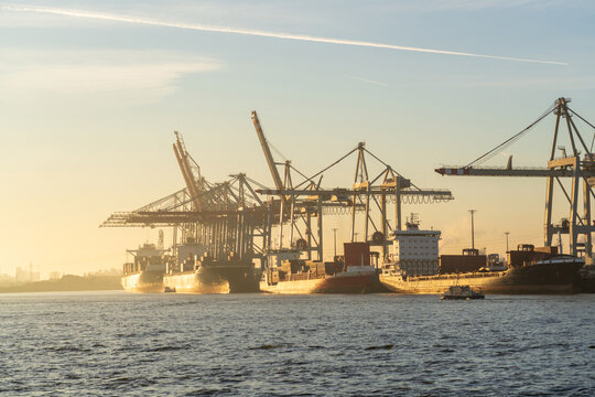 Container ships and cranes at Hamburg Tollerort terminal on the Elbe