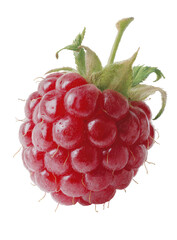 Close-up of a vibrant red raspberry (1)