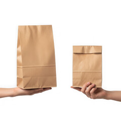 Two hands holding brown paper bags against a white background