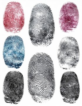 Set of different fingerprints pattern isolated on a white background