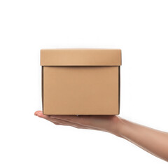 Person holding a small cardboard box with a hand