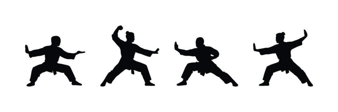 china kungfu pose silhouette collections